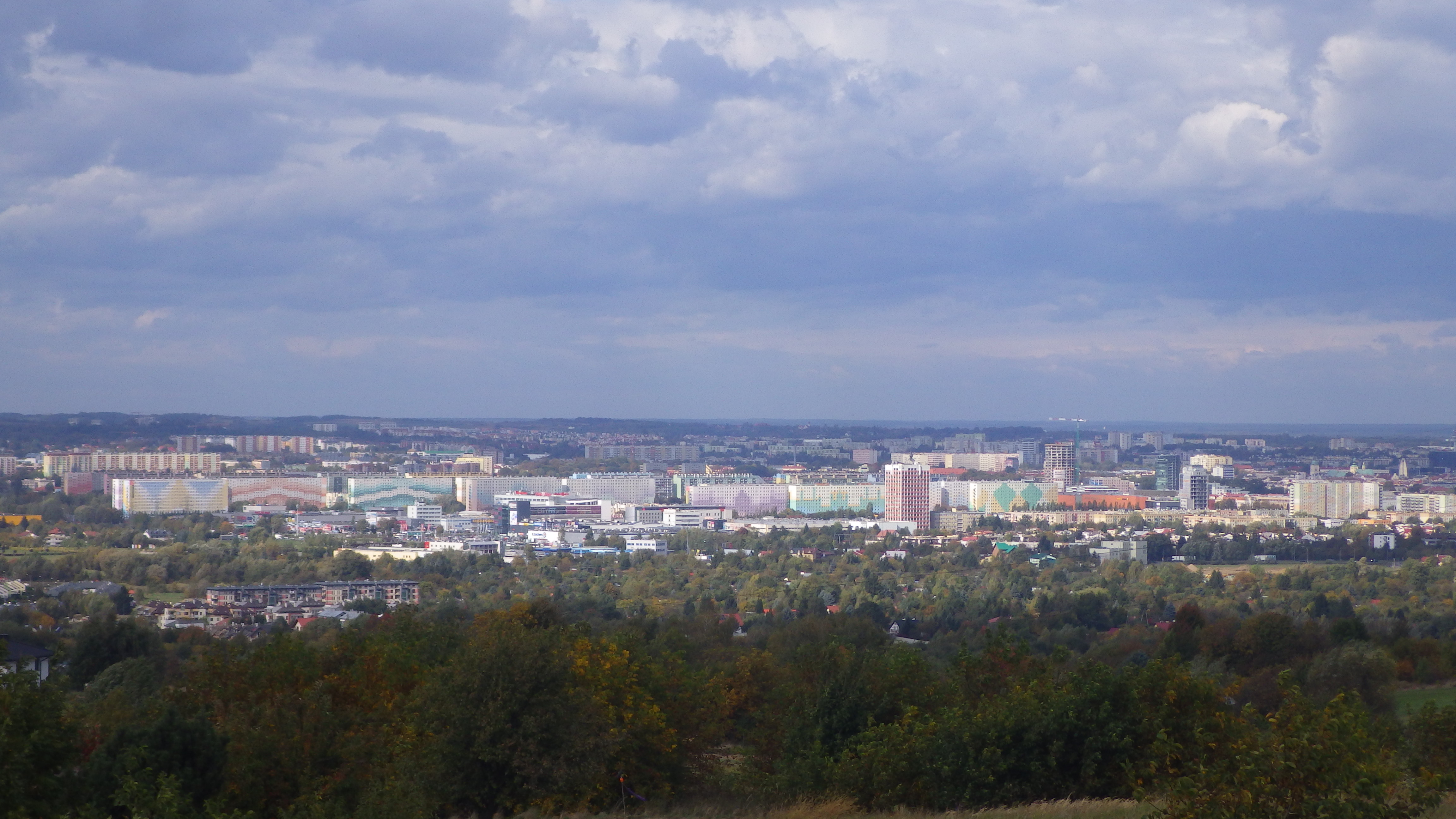 geodeta rzeszow